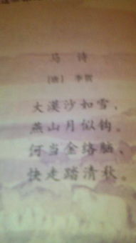 關(guān)于馬古詩的詩句有哪些