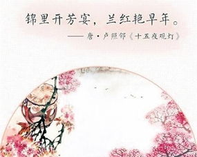 詩(shī)句,元宵節(jié),片段