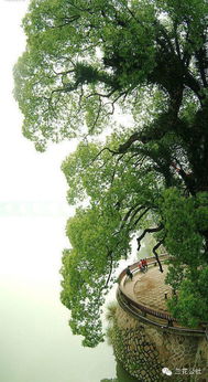 體現大自然的美的詩句,贊嘆大自然美的詩句,說大自然美的詩句