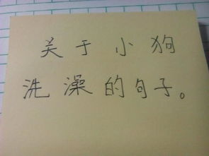 描寫(xiě)沐浴后的古詩(shī)句