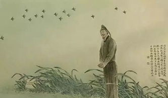 杜甫關(guān)于青春的詩句