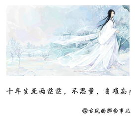 心箏一觸滄桑淚的古詩句