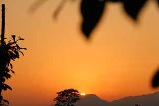 關于落日與校園的詩句