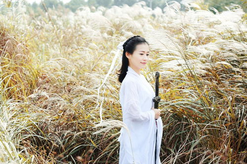 關(guān)于小龍女的詩(shī)句