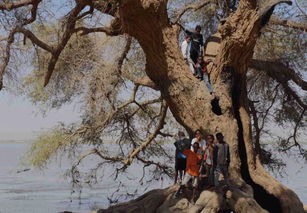形容浪跡天涯的古句,浪跡天涯的古詩,形容浪跡天涯的古詩
