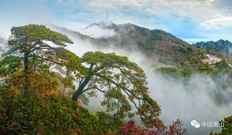 關(guān)于黃山的整首詩句