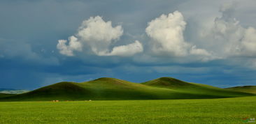 古詩詞,詩句,描寫,草原