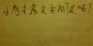 包含蓮的古詩(shī)句