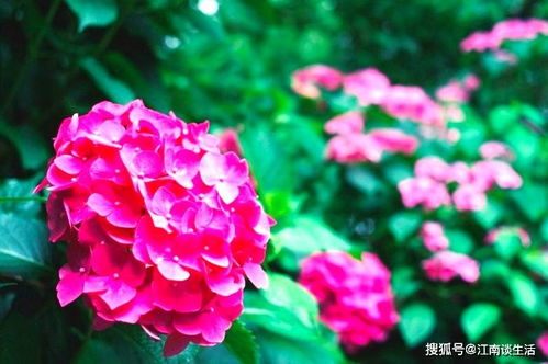 辛苦付出收獲滿滿的詩(shī)句,形容辛苦后收獲的詩(shī)句,辛苦努力換來(lái)收獲的詩(shī)句