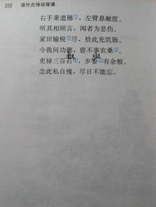 古詩中抒寫鄉(xiāng)情的詩句