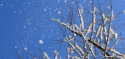 關(guān)于大雪的詩(shī)句形容東北的