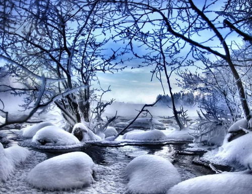 中國古代關(guān)于雪的有名的詩句