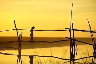 寫一首關于父親的詩句