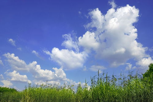 關于云的兒童詩句