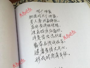 老年愛情詩句經(jīng)典,感嘆老年愛情的詩句,老年夫妻恩愛的詩句