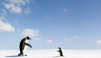 不體會不知道辛苦的詩句,不做媽媽不知道媽媽的辛苦,不知道別人辛苦的詩句