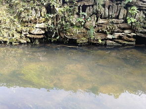 關(guān)于江西美景的詩(shī)句