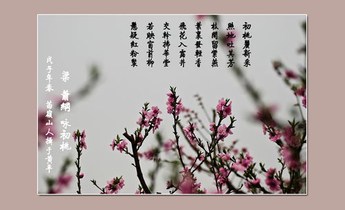 寫桃花的愛情詩(shī)句古詩(shī)詞