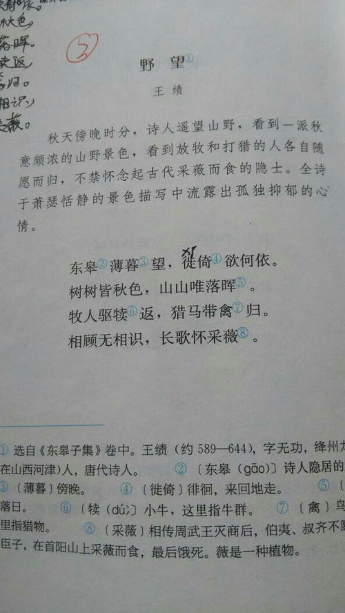 八級(jí)上冊(cè)優(yōu)美古詩句