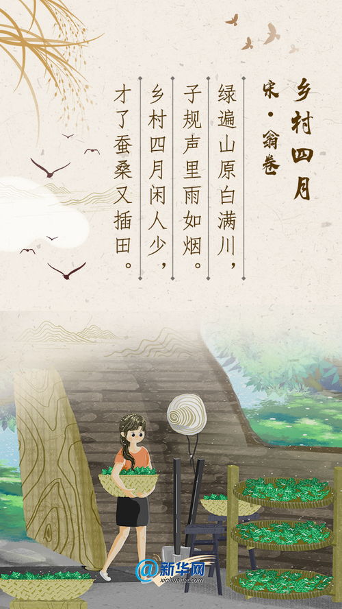 關(guān)于最美勞動者的詩句