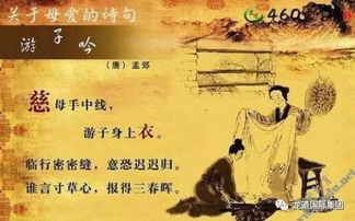 警句,古詩,詩句,名言