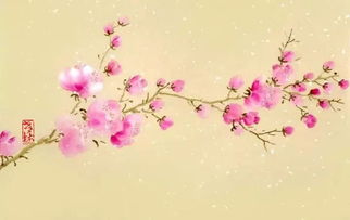 喜歡花的詩句經(jīng)典,古人喜歡的花的詩句,表達(dá)喜歡花的詩句