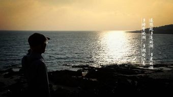 關(guān)于余光中雨的詩句