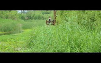 詩(shī)句,月色,描寫,唯美