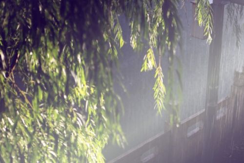 雨夜聽雨唯美古詩句