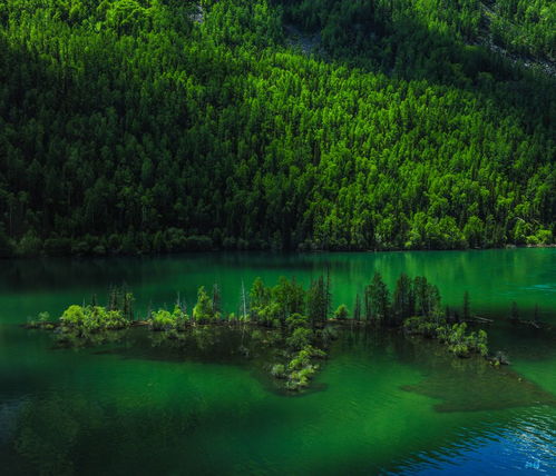 古詩,詩句,含有,春歸