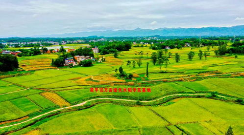 自己編一首關(guān)于田園風光的詩句