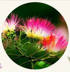 詩(shī)句,有哪些,于紅