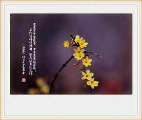 關(guān)于迎春圖的詩句