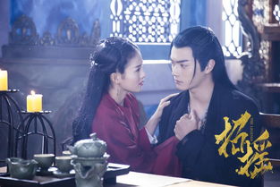 關(guān)于招搖電視劇詩句