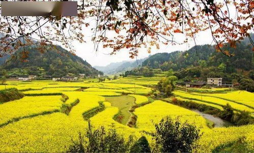 走進初夏的古詩句有