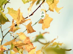 關于立秋微信詩句