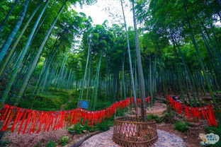 鄉(xiāng)間,竹子,詩(shī)句,田園