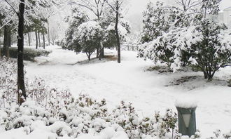 詩句,全集,于冬