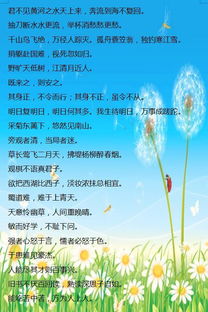 關(guān)于環(huán)境的名言警句或詩(shī)句