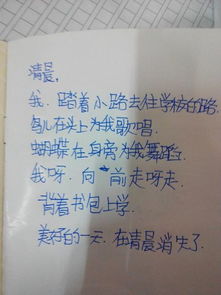 描寫春節(jié)的詩句古詩自編