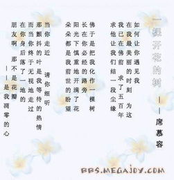 席慕蓉關(guān)于花的詩句