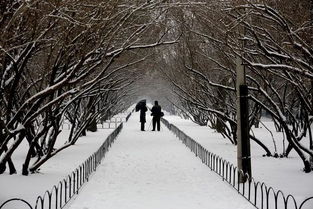 寫雪表達(dá)情感的古詩句