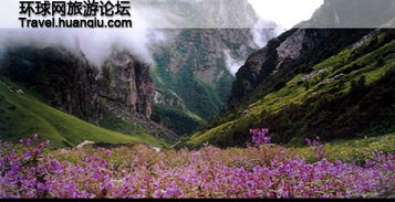 描寫人跡罕至的古詩句