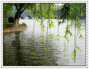 關(guān)于春景的詩句古詩