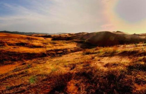 王維的關(guān)于黃河的詩句有哪些