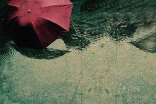 詩句,分手后,情人