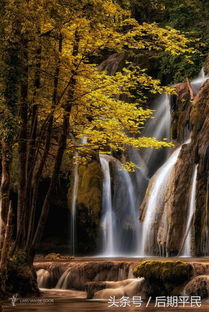 關于大自然美的詩句