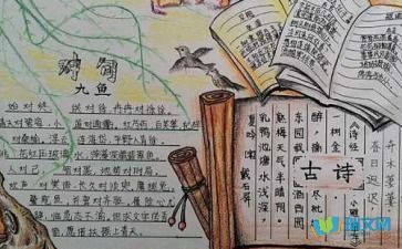 菊花思鄉(xiāng)的詩句古詩