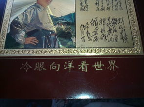 關于冷眼看世界的詩句