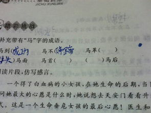 關(guān)于馬的成語(yǔ)和詩(shī)句